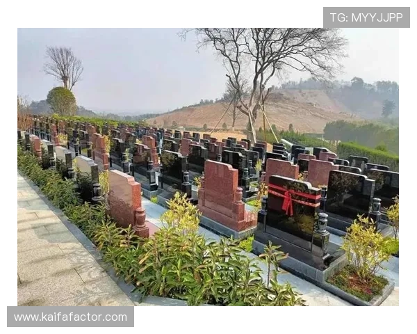 PA国际亚游在线投注流程详解及常见问题解决方案